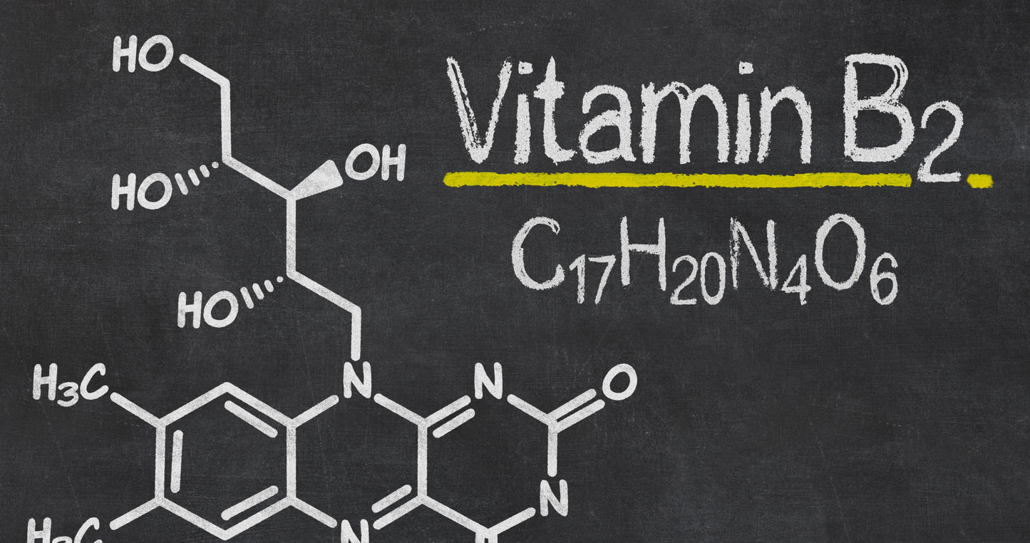 VITAMIN B2 für Zellfunktion, Wachstum & Entwicklung