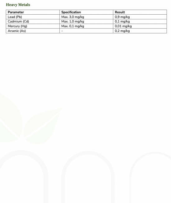 (2024/Dez). Express Darmkur Komplex: Bio Chlorella & 75% Silicium aus Bio Bambusextrakt + Bio Brennnesselblatt Pulver (XL Pack, 240 Kapseln)