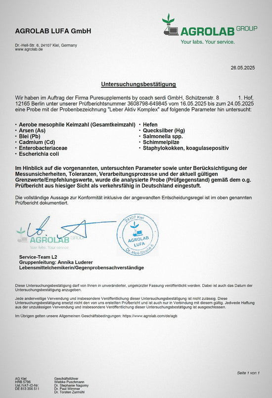 Express Leberkur Komplex aus Pflanzenextrakten mit Cholin (Leber Aktiv, Mariendistelsamen, Artischockenextrakt, Löwenzahnextrakt, Wermutkrautextrakt, Bambussprossenextrakt, 120 Kapseln)