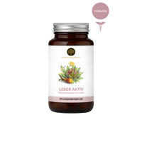 Leber Aktiv | Pflanzenextrakte + Cholin | 120 Kapseln