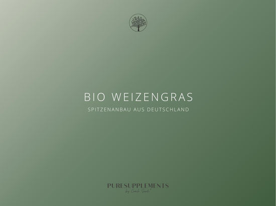 Premium Bio Weizengras Pulver aus Spitzenanbau Deutschland 100g