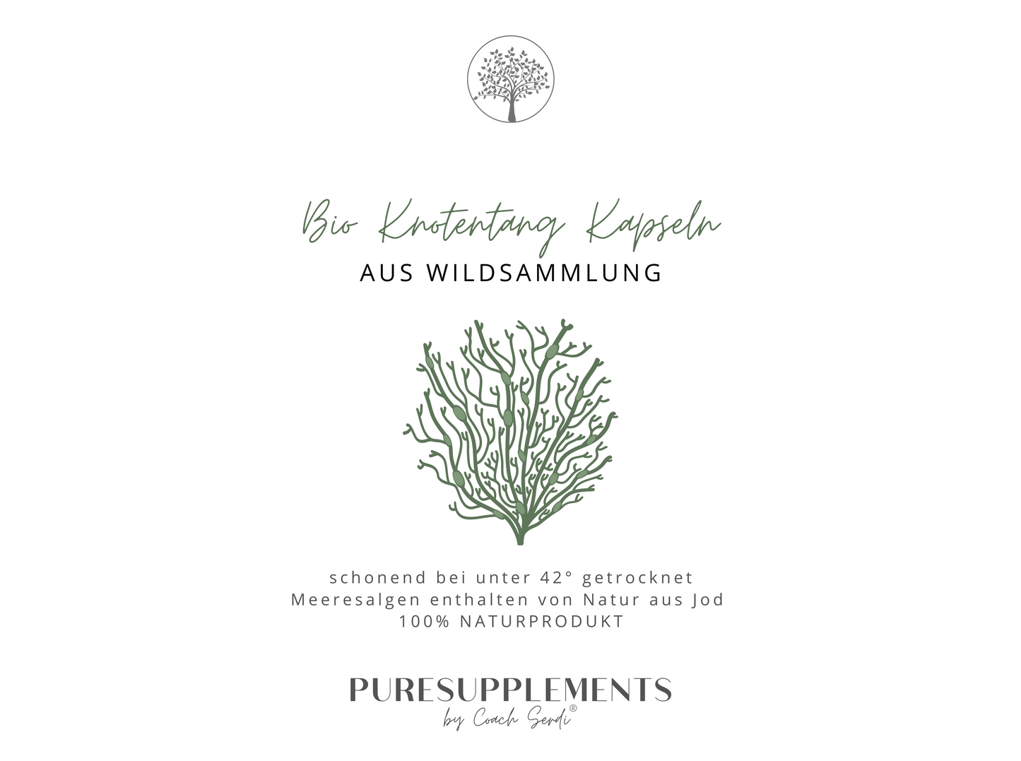 Premium Bio Wildsammlung Knotentang Braunalge - Ascophyllumnodosum (jod, 3 Monatsvorratspackung)