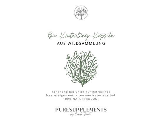 Premium Bio Wildsammlung Knotentang Braunalge - Ascophyllumnodosum (jod, 3 Monatsvorratspackung)